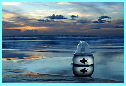 erdogan-gezgin-sonsuzluga-2-merdiven-alti-yazar