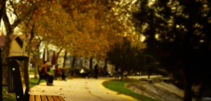 erdogan-gezgin-merdiven-alti-yazar-tabure