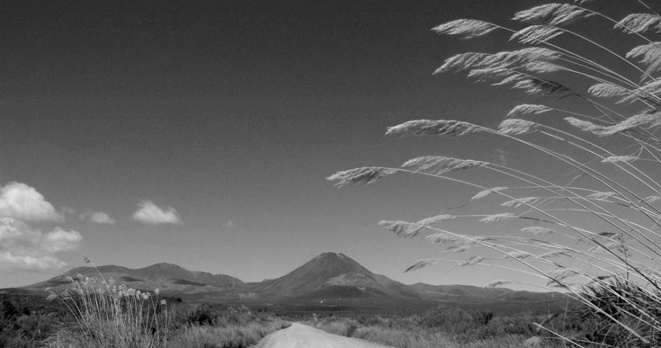 merdiven-alti-yazar-erdogan-gezgin